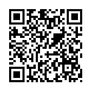 我们王家在东南区有一支万人规模的商团护卫二维码生成