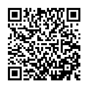 我们王家的商团护卫绝对会无条件听从第一第二常备军团的命令二维码生成
