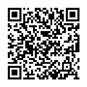 我们现在好像被关在一片群山之间的小型盆地中二维码生成