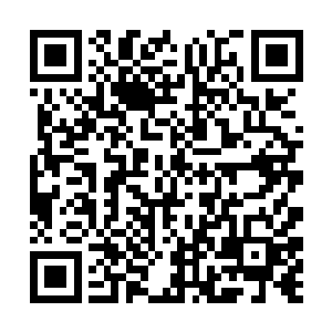 我们现在就去散仙盟的各大药店去购买赤阳丹的药材二维码生成