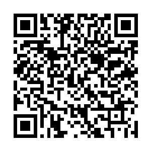 我们现在急需要在短时间内培育出一支强力的尸兄队伍二维码生成