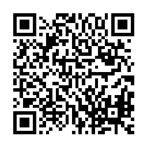 我们现在要做的就是趁着万众一心想要求活的时候为将来做打算二维码生成