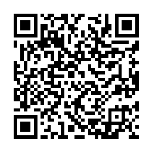 我们甚至将我们应得的一部分战舰都转让给了贵国二维码生成