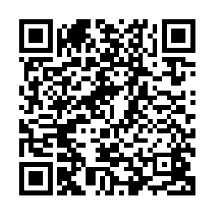 我们用的都比较差・有可能比赛中有驾驶高级机动战士的机会二维码生成