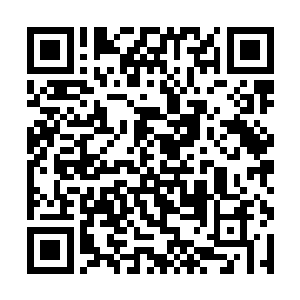 我们疗身门当中就有修真界独一无二的五行俱全之地二维码生成