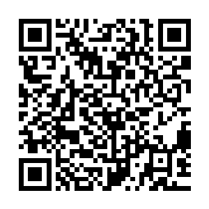 我们白勺下一项中心工作是争取大东制药厂的项目来洼崮落户二维码生成