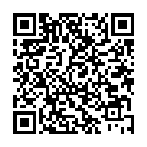 我们的书评区真是全起点中文网最有气氛的书评区之一了二维码生成