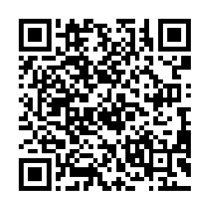 我们的人付出了不小的代价之后得到了一个惊天的消息二维码生成