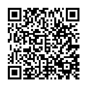 我们的任务已经算是完成了……只是我们还想调查的更清楚一点二维码生成