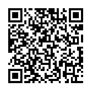 我们的做客嘉宾苏文同学说要当场写一篇有关勇气的文章二维码生成