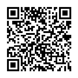 我们的史密斯导演心里素质永远那么的令人敬佩二维码生成