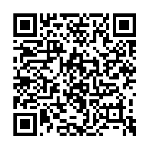 我们的四级改造战士可以和黑暗种族的伯爵对抗二维码生成