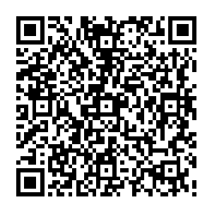 我们的孙儿辈……我们的亲友……全都没了……他们连虚灵都没有修炼出来呀……二维码生成
