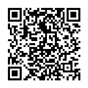 我们的客户群很小一个客人的不满足以影响我们的声誉……二维码生成