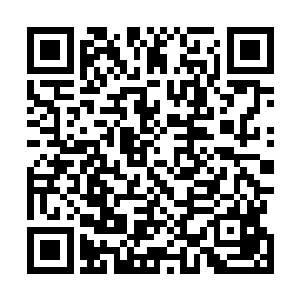 我们的师傅说那东西最有可能就是在地宝院方长老的手上二维码生成