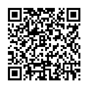 我们的损失说不定比损失极品圣果和圣器还要严重二维码生成