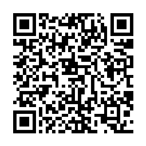 我们的欢喜哥莫名其妙的多了一个经纪人和一个私人助理二维码生成