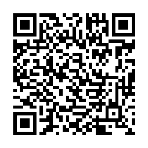 我们的沈大小姐不会就此抛弃我们的夏大师转向他吧二维码生成