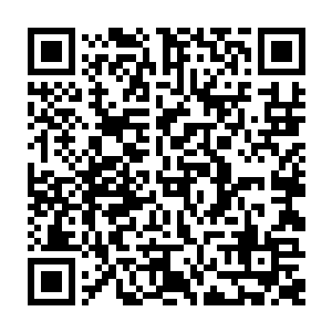 我们的第五军团硬是被这些武装分子拖在了距离补给线两百多公里的河谷地区二维码生成