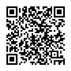 我们的经纪合约里规定了更换经纪人需要征得我的同意二维码生成