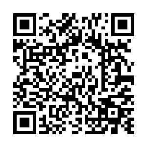 我们的计划和身份就会曝光――这是我们不能承受的损失二维码生成