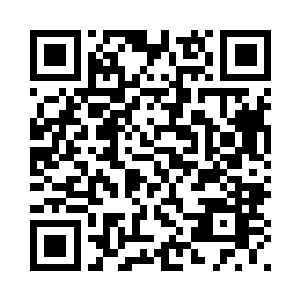我们皓月门的门主可是天族人的狗二维码生成