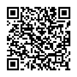 我们目前的部队规模不可能守住那么长的边境线二维码生成