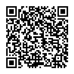 我们相识之后的每一秒钟都化作一副绝美的图画在我的神魂中闪现二维码生成