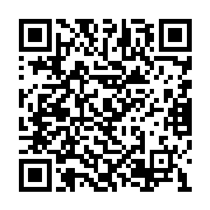 我们真正目的就是为了扩大地仙真仙一层的共识二维码生成