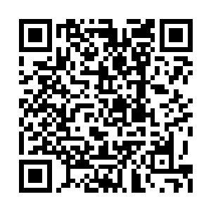 我们真正面对的危险是那些被捕人员的安全问题二维码生成