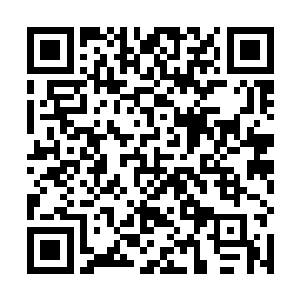 我们真的要帮这个曾经害过林锐和叶莲娜的俄罗斯女人二维码生成