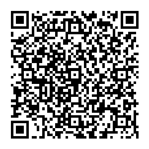 我们社会主义国家的公有制经济基础难道就要在我们南潭蜕变成为彻头彻尾的资本主义试验地二维码生成
