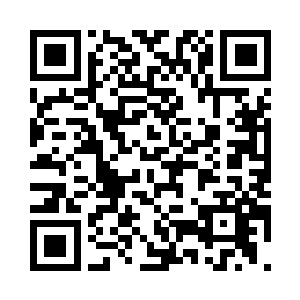 我们社会的思维核心以情理法为基础二维码生成