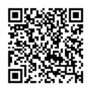 我们神音道宗多少年没有出现一个领悟了三大意境的杰出弟子了二维码生成