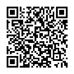 我们秦家的基业在未来几十年还得靠你撑起来呢二维码生成