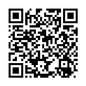 我们空灵海所有的主力军都调集到空灵海两翼二维码生成