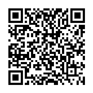 我们站在的地方几乎就在上次看到那个船转弯的地方二维码生成