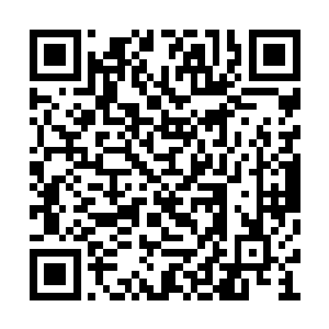 我们站立的位置与莲花池之间尚有十几米的距离二维码生成