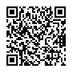 我们站脚的这一片区域根本就没有这些东西上过岸的痕迹二维码生成