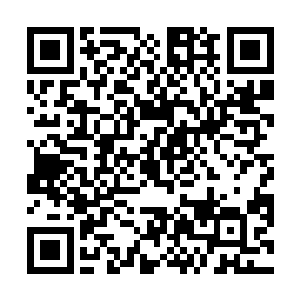 我们纯血圣灵并没有大家想象中那么在意血统是否纯净二维码生成