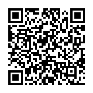 我们经过的四个区域里全都是正常修界里难见的精纯资源二维码生成