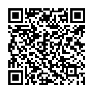 我们给你一个星期的时间处理好家庭和学校请假的事二维码生成