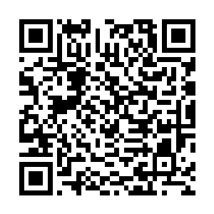 我们美人帝国将会把最美也是实力最强的四大美人送给你二维码生成