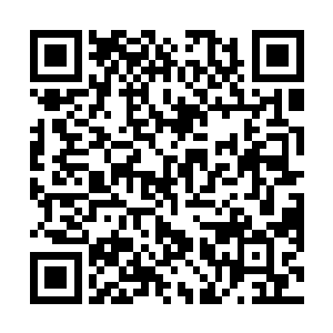 我们自然之盟学派很久都没有再次晋级一位正式巫师了二维码生成