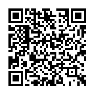 我们董家和梅家的高手都死在了地镇关上古遗迹二维码生成