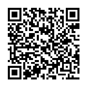 我们蓝名家族一定会倾尽全族之力讨伐你们黑风强盗团二维码生成