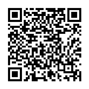 我们虽然有手段能查到降临到千城的武者来自何方二维码生成