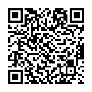 我们被人引到蛊洞下面根本就不是要将我们全部搞死二维码生成