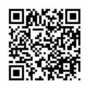 我们被带到了一大片空旷的林中空地二维码生成