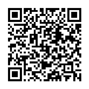 我们要伏击的目标据是一群拥有七阶变异兽的变异兽群二维码生成